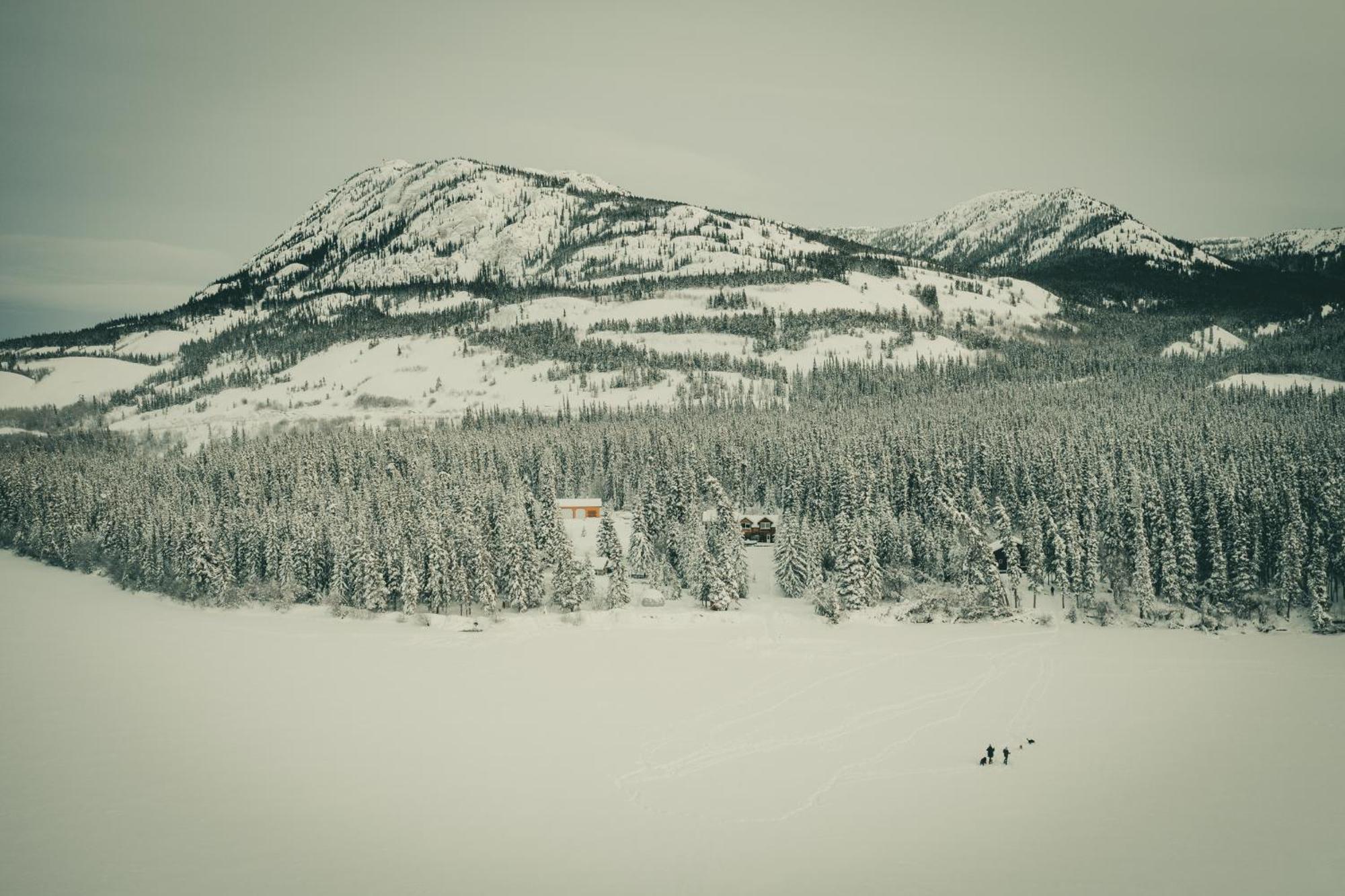 Little Atlin Lodge Tagish Buitenkant foto