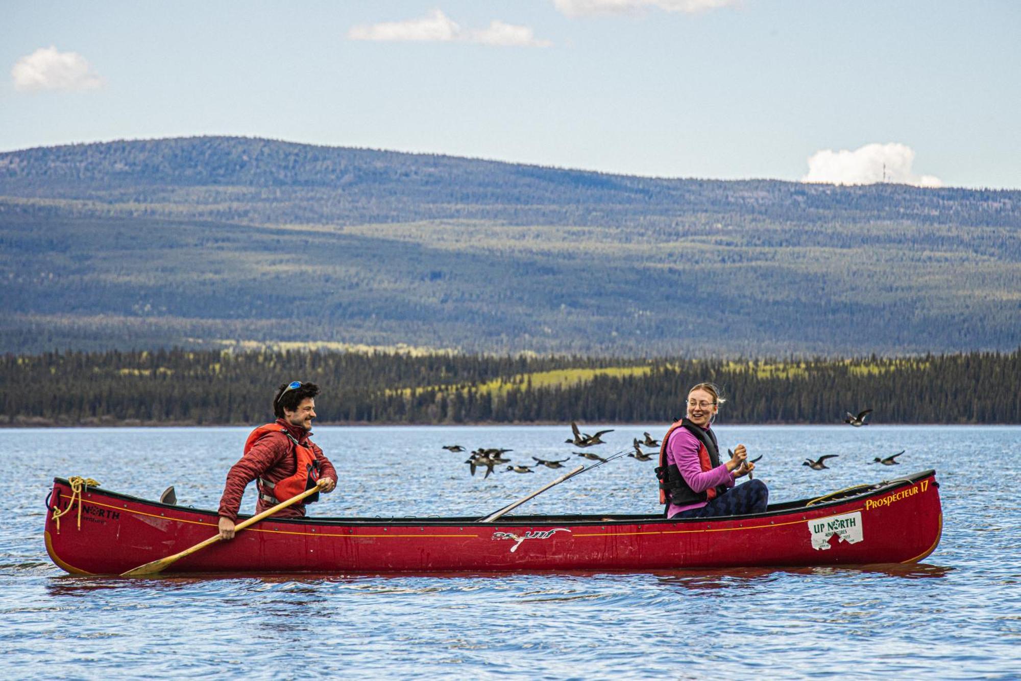 Little Atlin Lodge Tagish Buitenkant foto