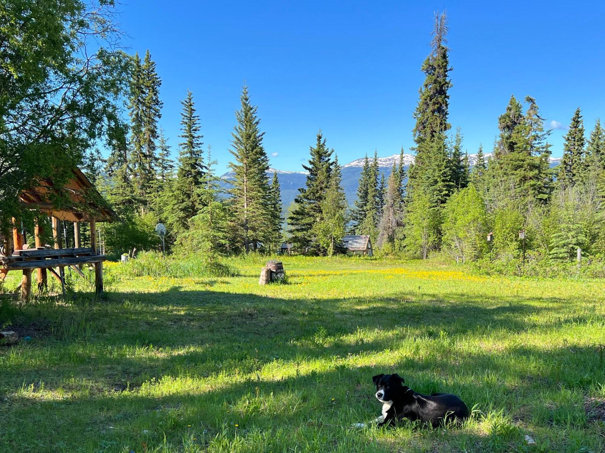 Little Atlin Lodge Tagish Buitenkant foto